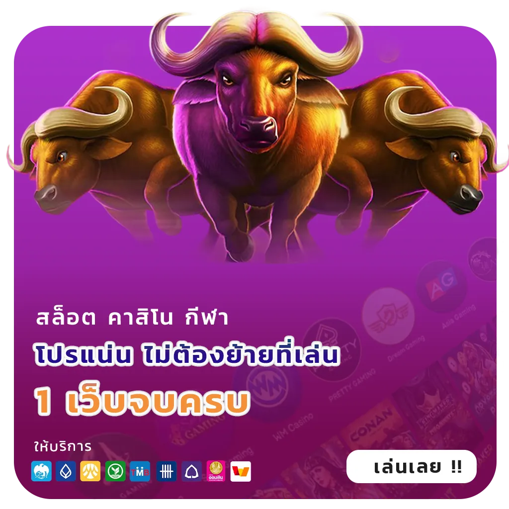 ram268 โปรโมชั่น